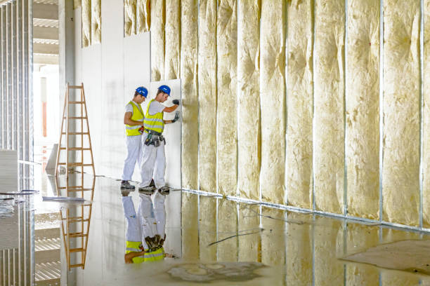 Reliable DE Insulation Contractor Solutions